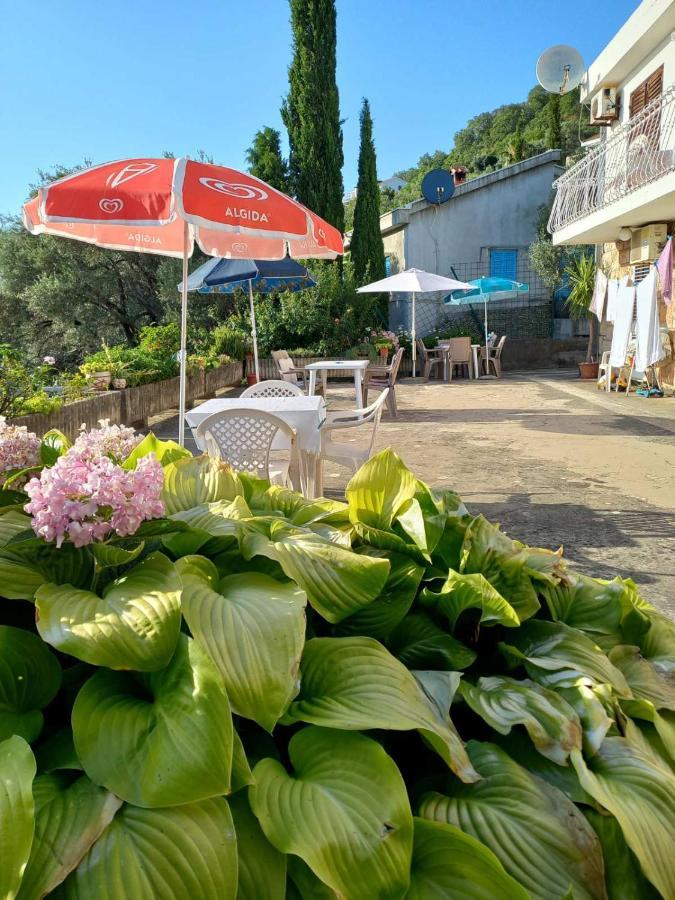 Apartments Andjus Sveti Stefan Ngoại thất bức ảnh